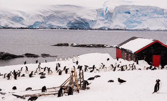 Viagem ao continente gelado: equipe da Record TV desbrava a Antártida em expedição de 11 dias (Renato Granieri)